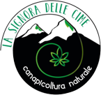 canapa sativa coltivata in montagna - LA SIGNORA DELLE CIME logo